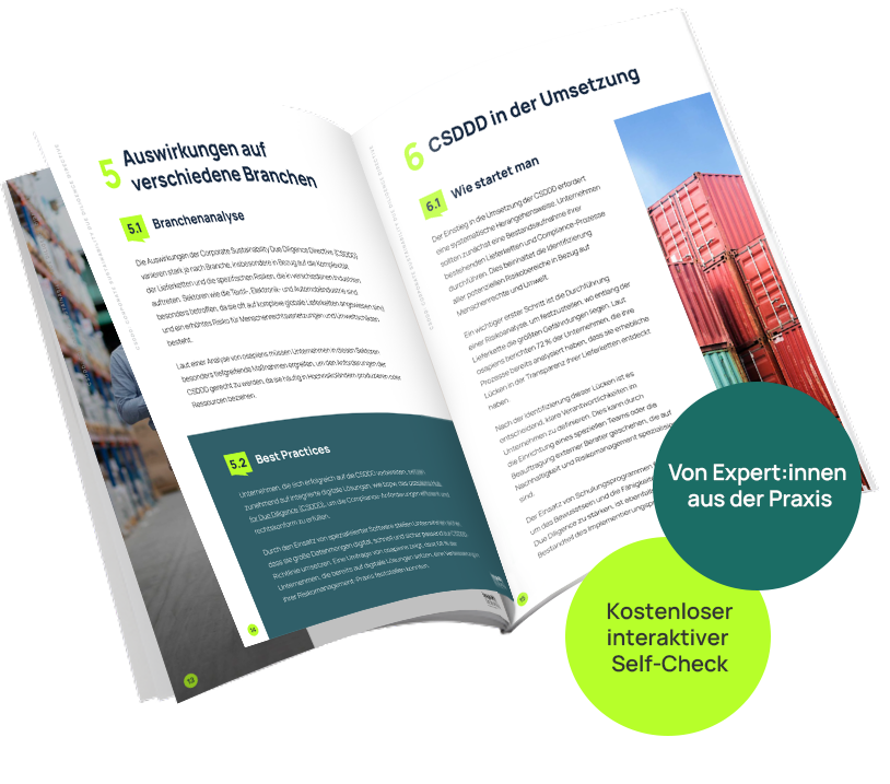 Impact Strategies-CSDDD-Mockup Impact Strategies-CSDDD-Mockup