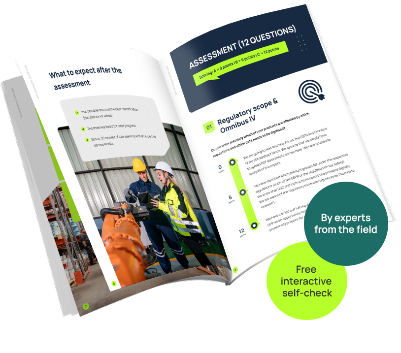 Impact Strategies-DPP-Mockup-EN