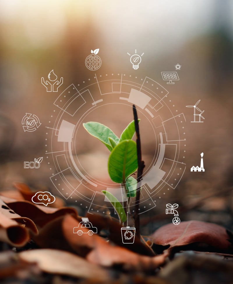 Impact Strategies_CSRD-Leitfaden_Bild LP