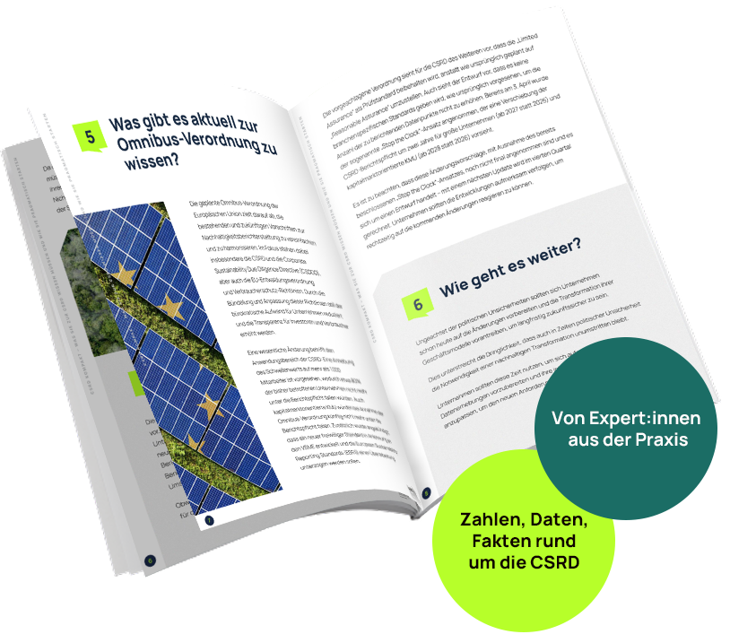 Impact Strategies_CSRD-Leitfaden_Mockup