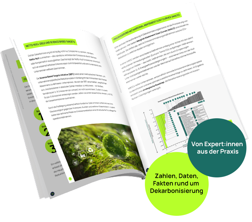 Impact Strategies_Whitepaper Dekarbonisierung_Mockup_v2