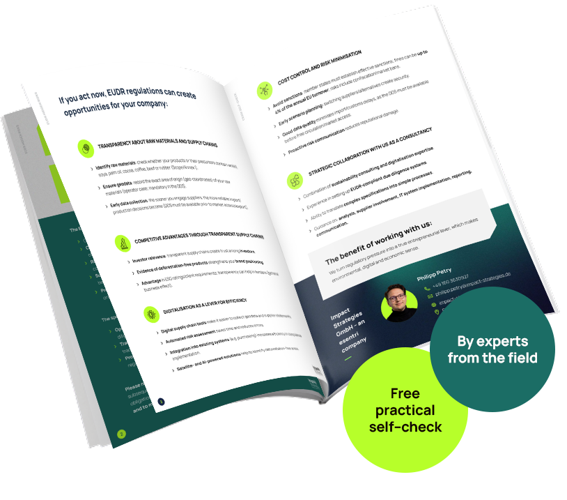 impact strategies-eudr-checklist-mockup-EN