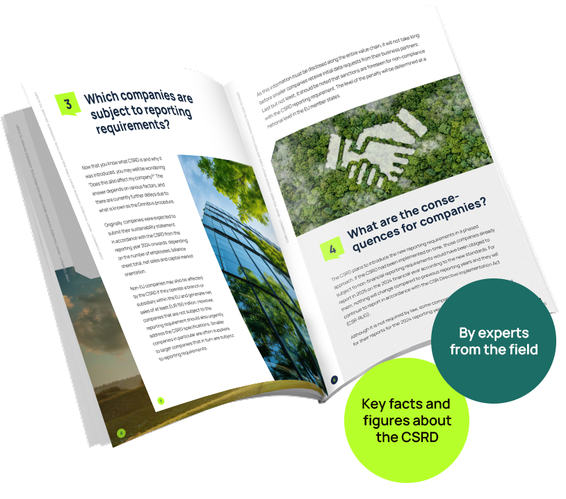 impact strategies-whitepaper-csrd-mockup-EN
