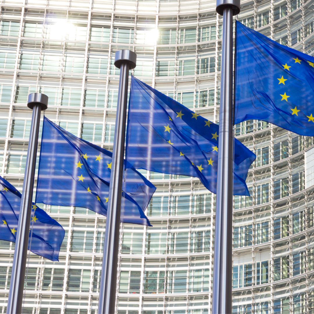 EU-Flaggen