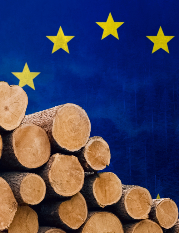 Kostenlose EUDR-Checkliste: Prüfen Sie, ob Ihr Unternehmen betroffen ist, minimieren Sie Risiken und sichern Sie sich mit digitalen Lösungen ab.